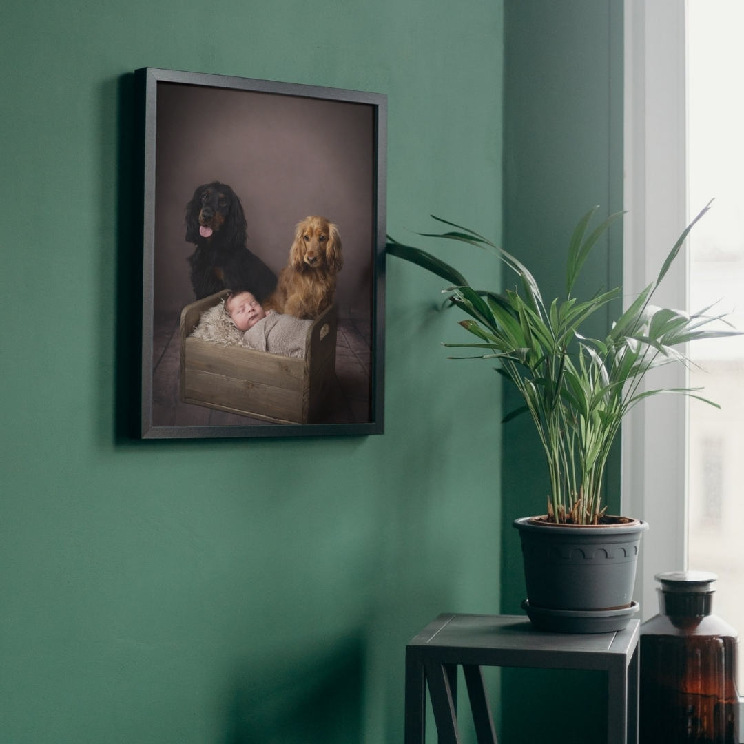 Black framed newborn and dogs portrait on a green wall