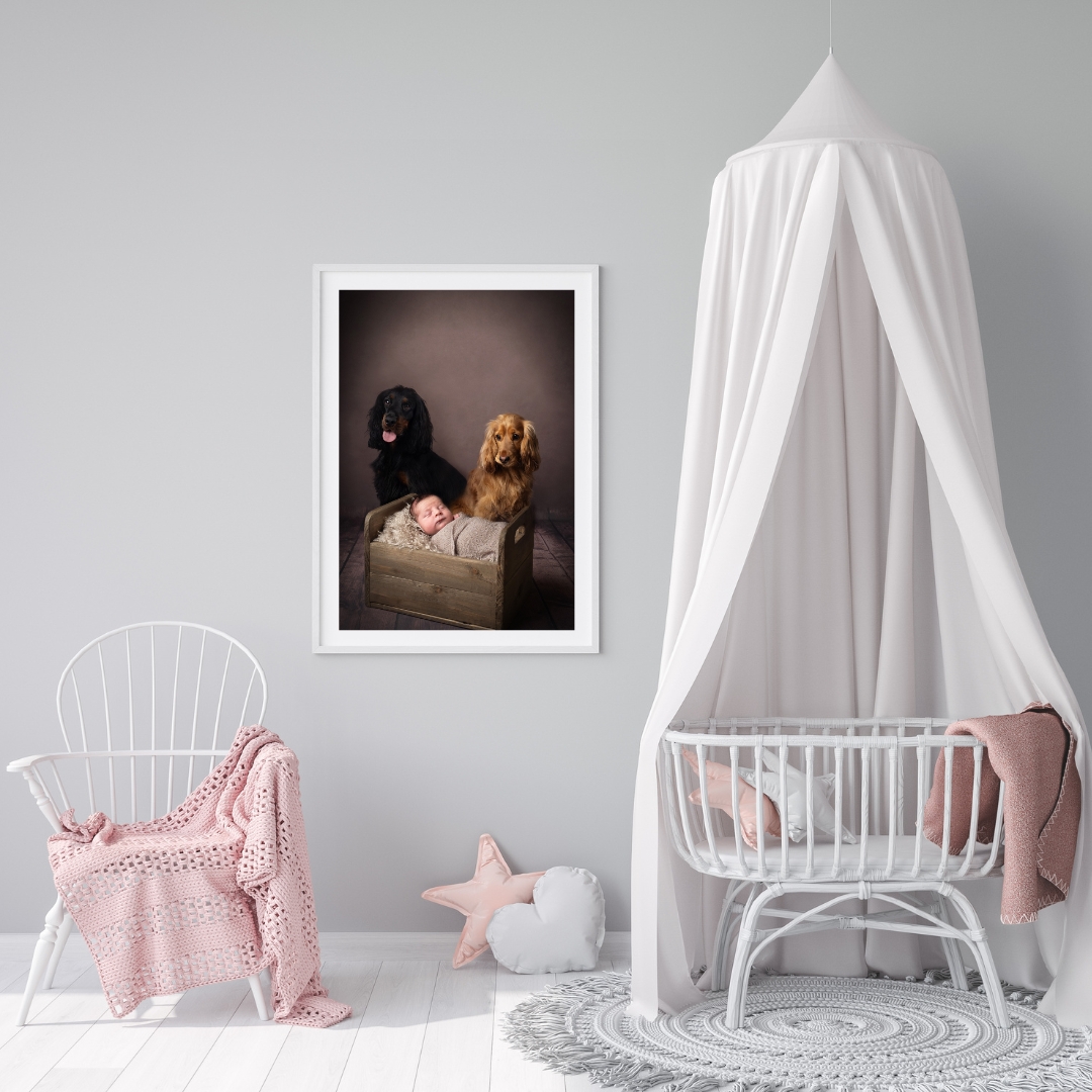 Framed newborn and dogs portrait in a soft grey nursery