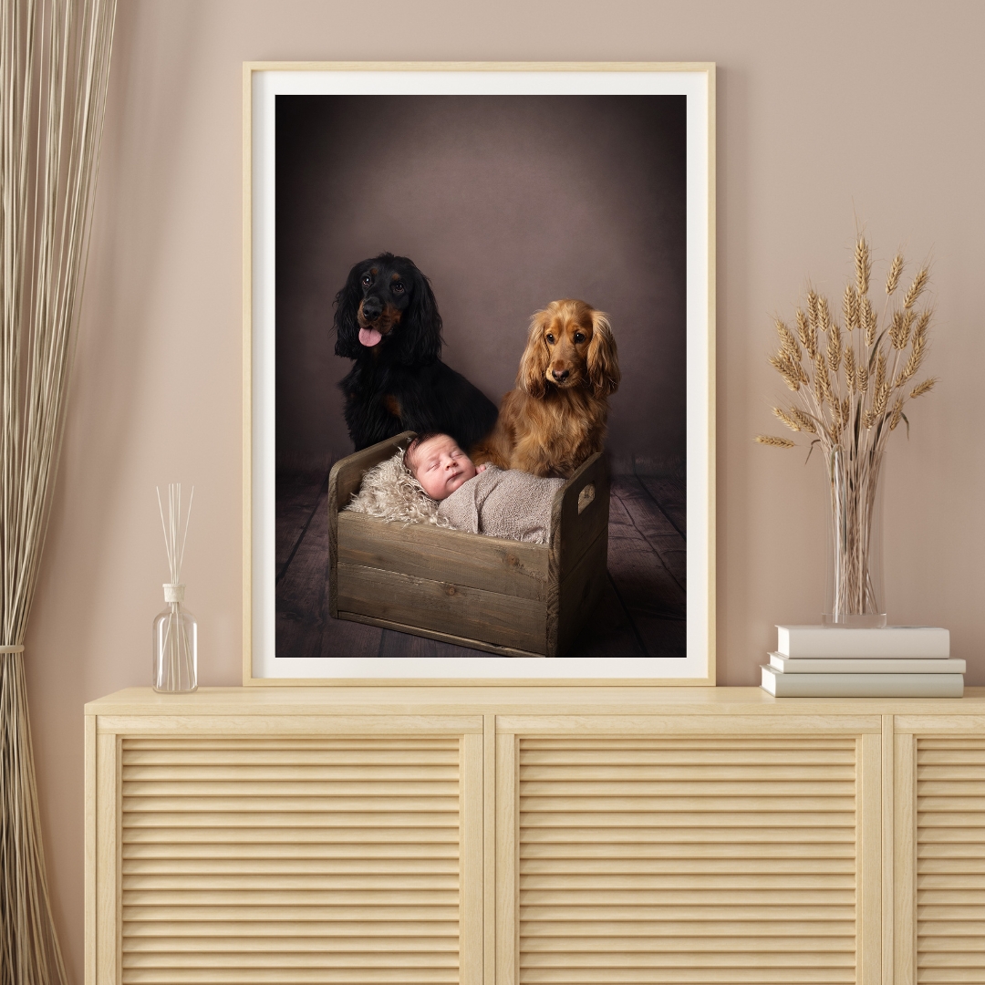 Framed newborn and dogs portrait on a light wood sideboard